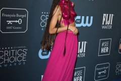 zendaya-pink-outfit-at-2020-critics-choice-awards-8