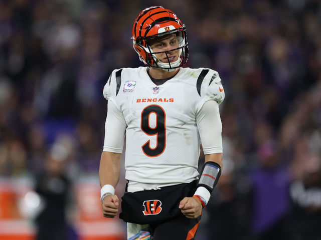 Report: Bengals to be recognized as AFC North champs after MNF cancellation