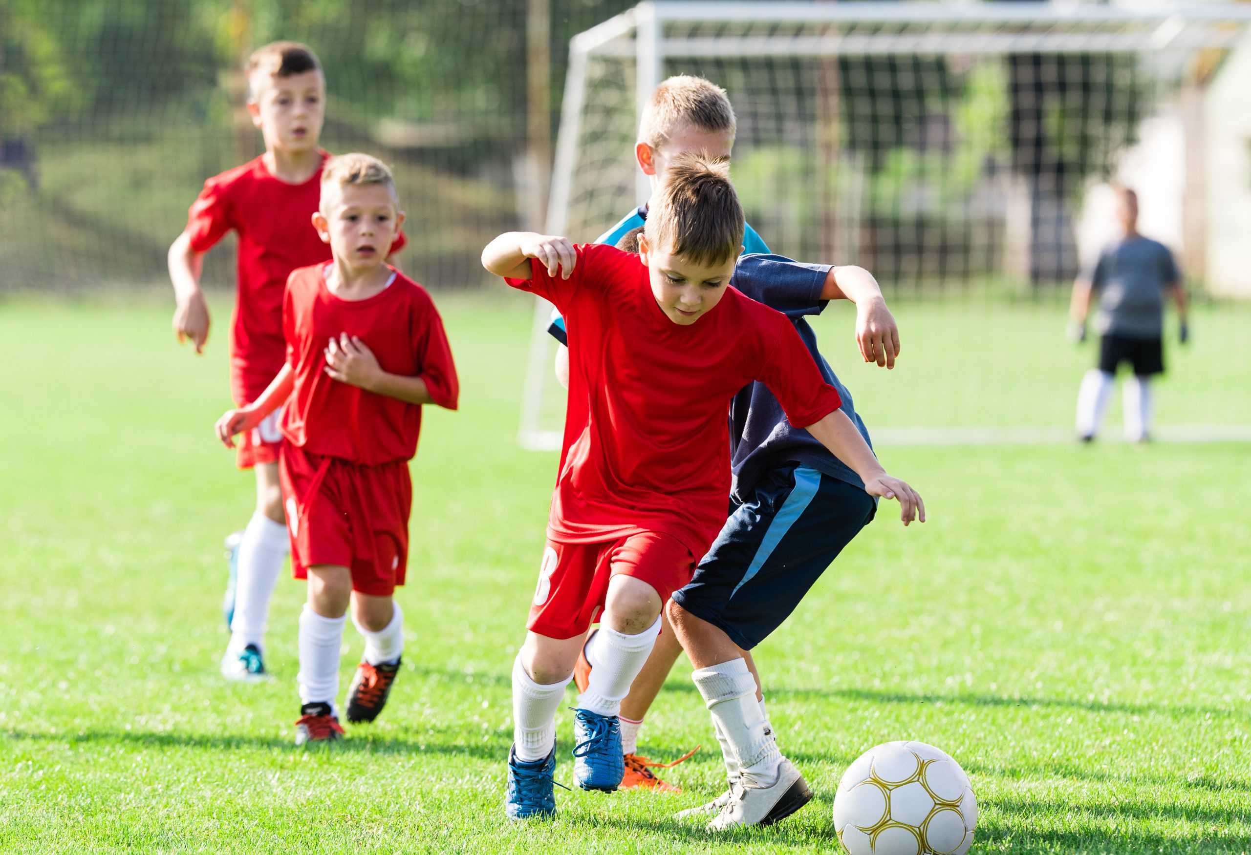 Types of Training at a Soccer Camp