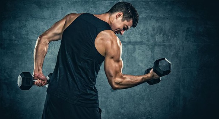 Bicep and Tricep Same Day: Is It a Good Idea?