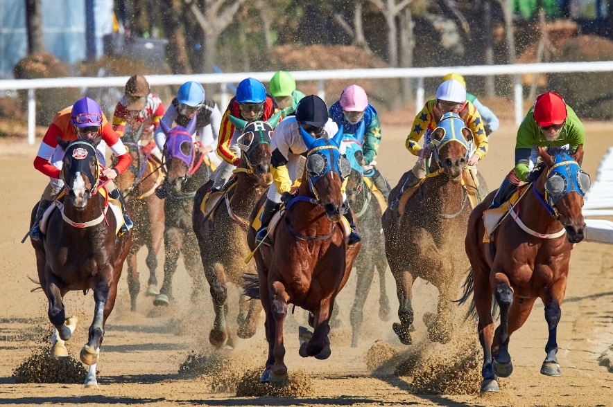 Using Betting Exchanges to Test Horse Racing Systems