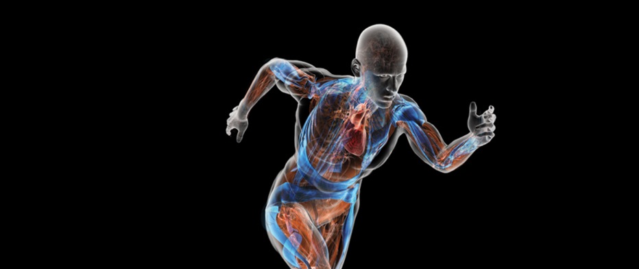 Biomechanics Play a Vital Role in Sports – Find out How!