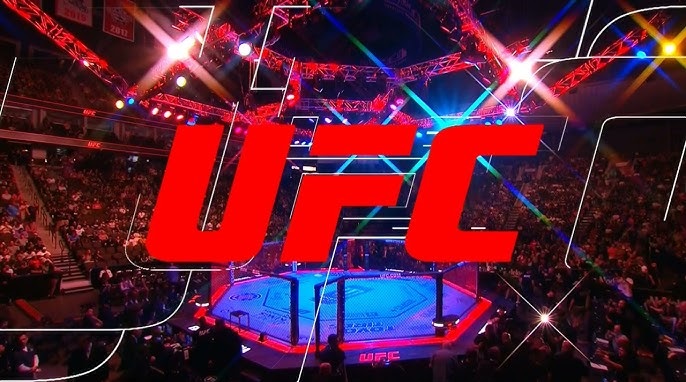 The Evolution of UFC: From Humble Origins to Iconic Octagons