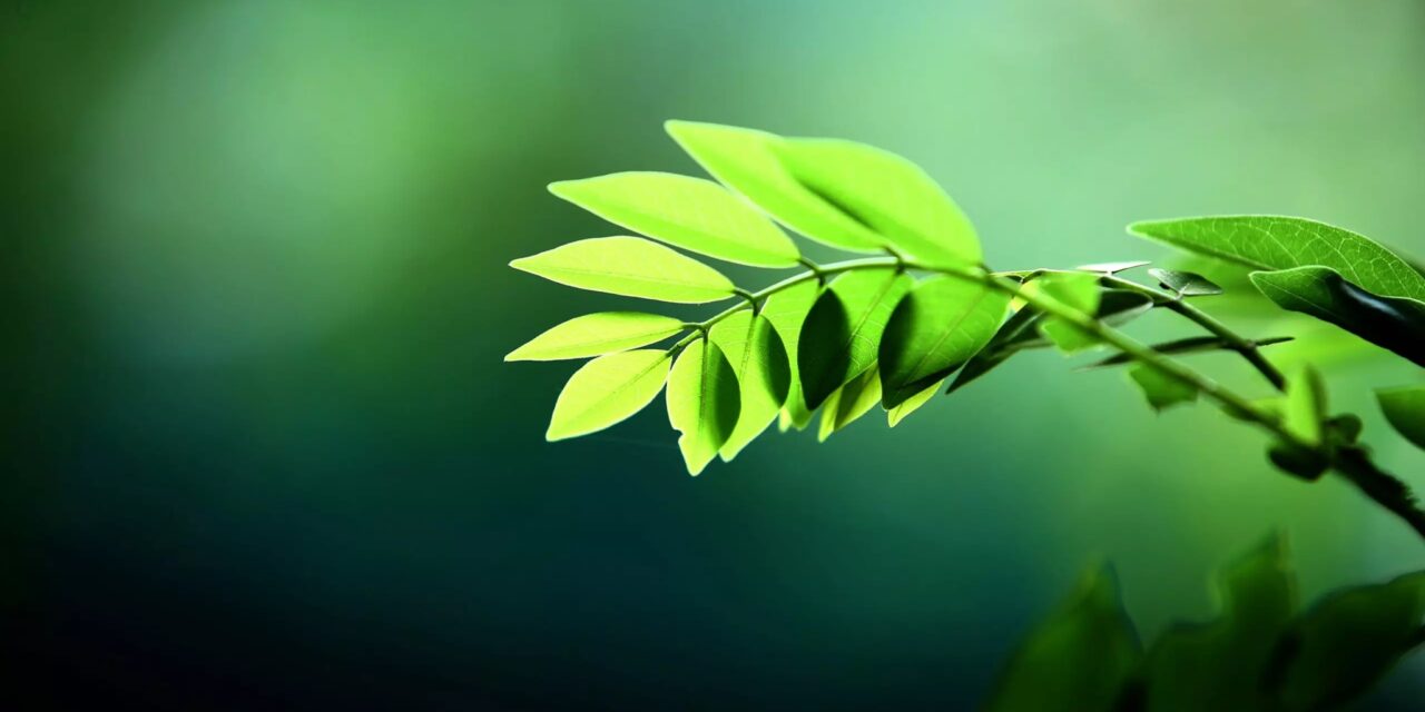 Green Investments: Navigating the ESG Landscape