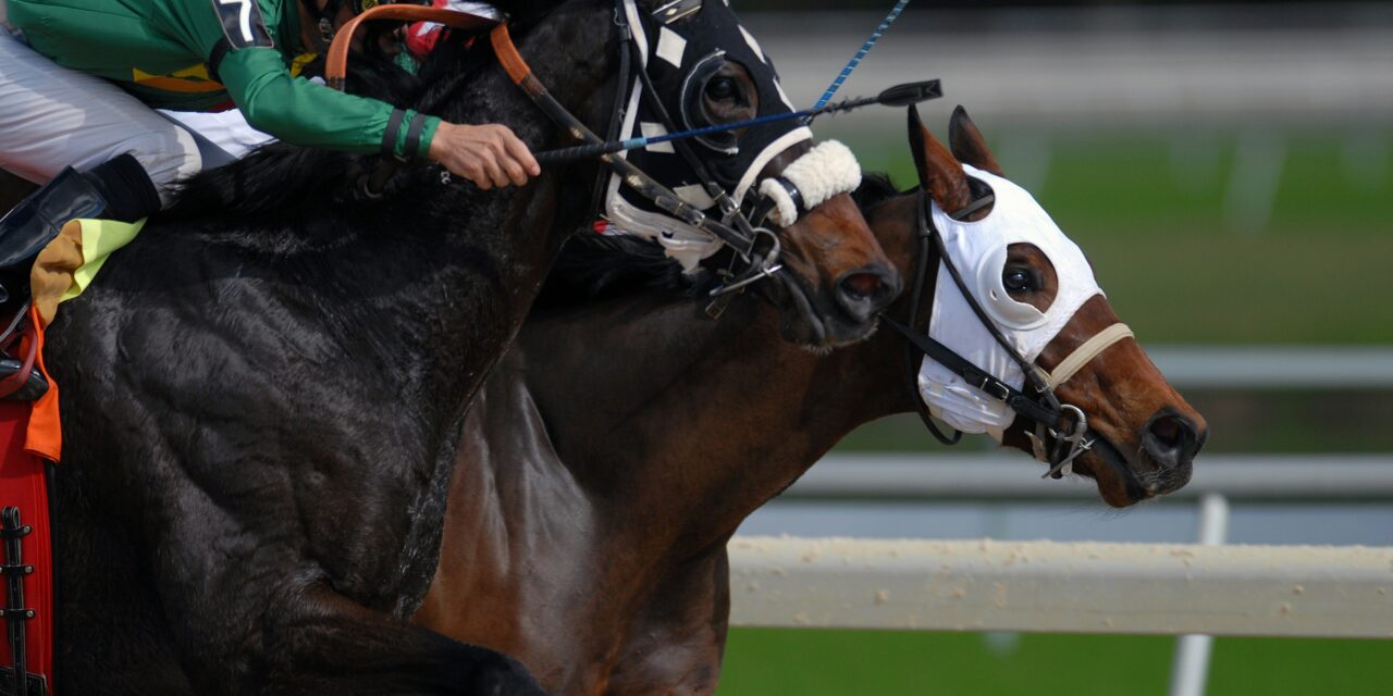 Cheltenham Festival 2025: Schedule & Preview of the Championship Races