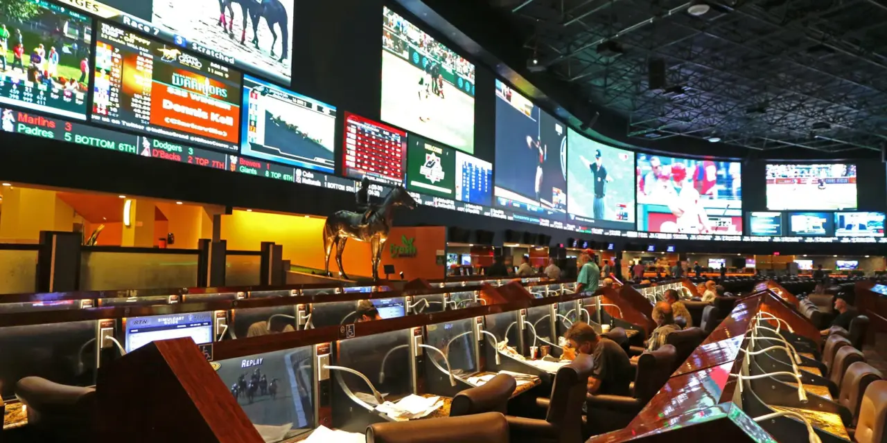 5 Reasons Sports Betting Is the Ultimate Game-Day Companion