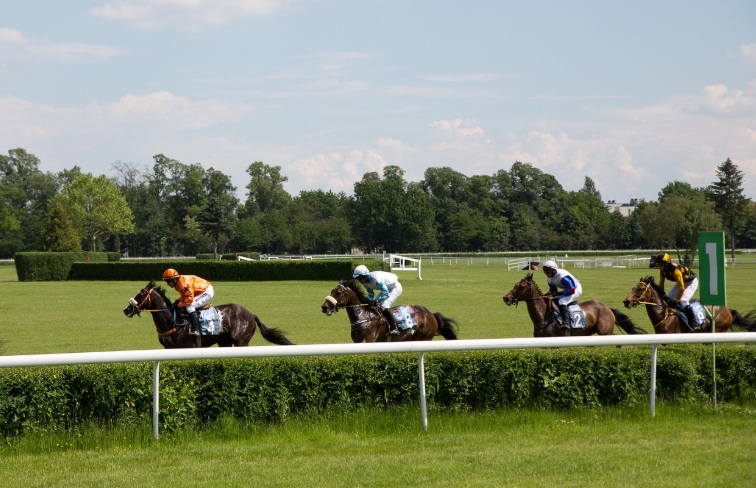 Betting at the Preakness Stakes: The Impact of Kentucky Derby on the Second Leg