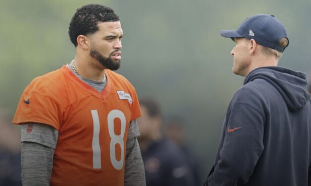 Williams: Johnson brings experience, energy to Bears