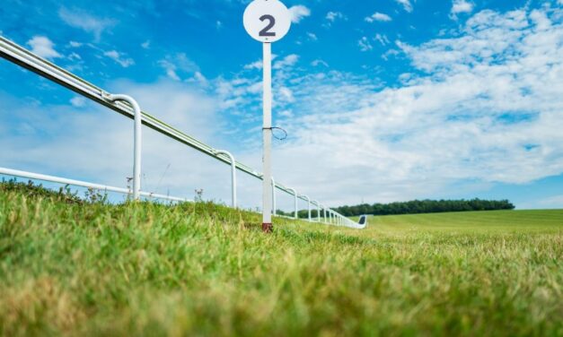 Decoding flat racing jargon