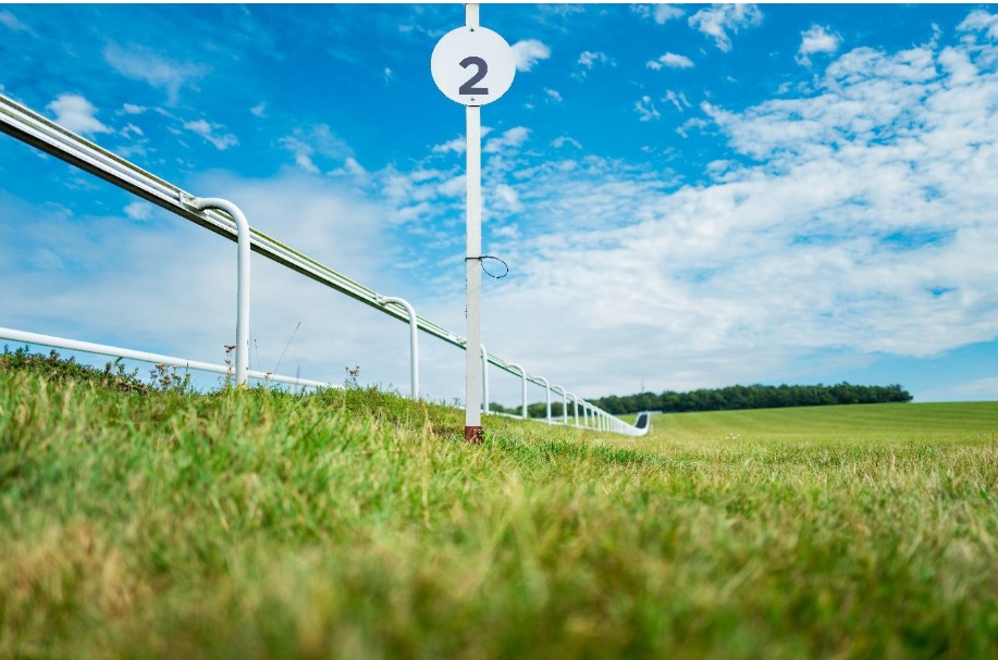Decoding flat racing jargon