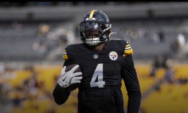 NFL upholds Metcalf’s 2-game suspension